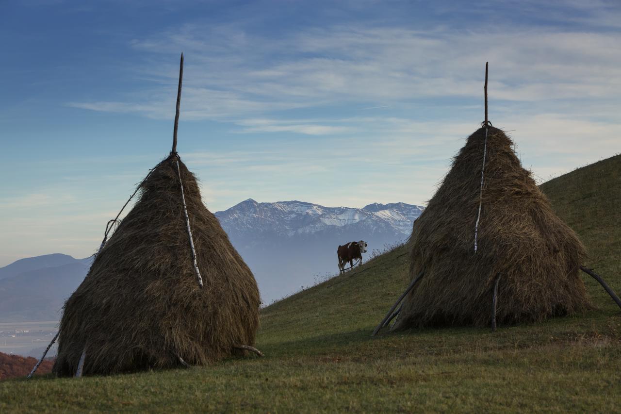 Bran Monte Crai Chalet Exterior foto